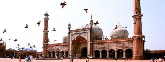 Flights to Delhi