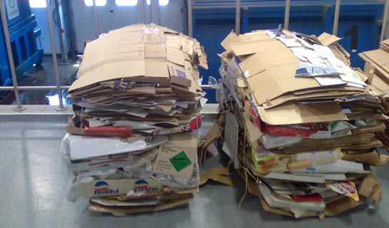A day in life of Emirates and the environment
