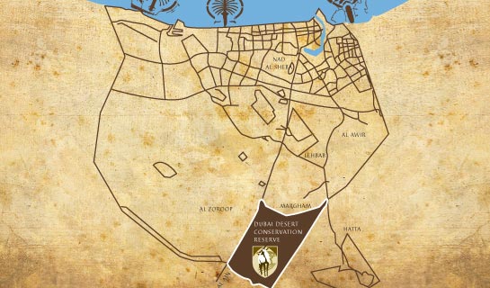 Dubai Desert Conservation Reserve