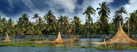 Flights to Kochi