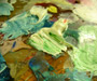 Al Quoz art galleries