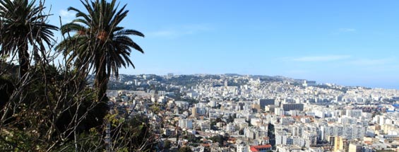 Flights to Algiers