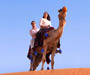 Camel Racing