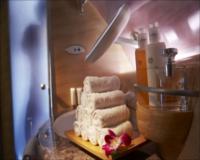 First Class Shower Spa
