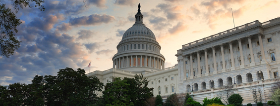 Flights to Washington, DC
