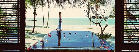 Excess Baggage Purchasing Terms & Conditions