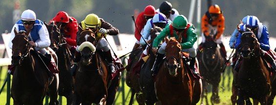 Horse Racing