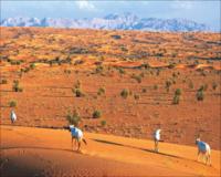 Al Maha Desert Resort & Spa